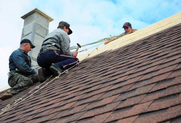 Best Shingle Roofing Installation  in Naples, FL
